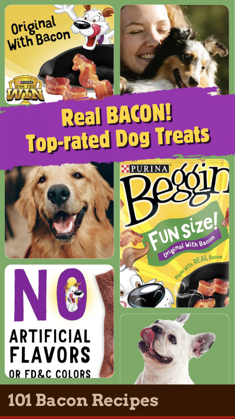 Top-rated Bacon Dog Treats